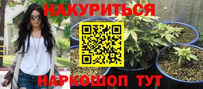 молекула духа Шахты