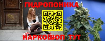молекула духа Шахты